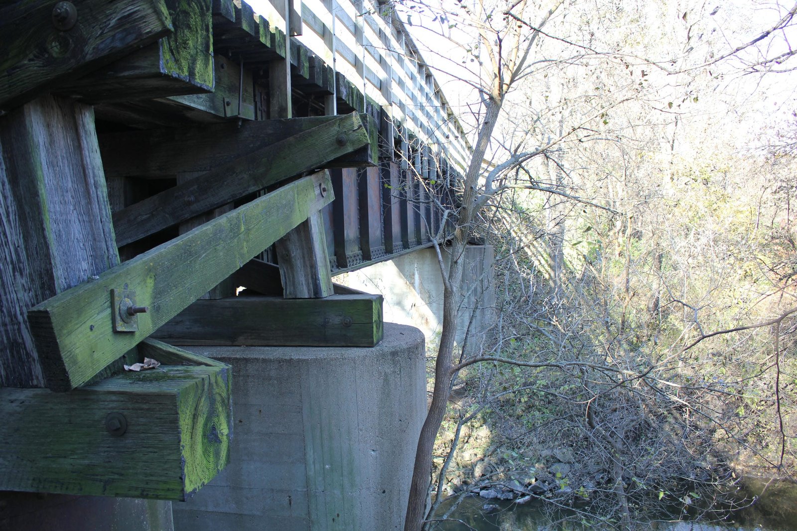 Looking north